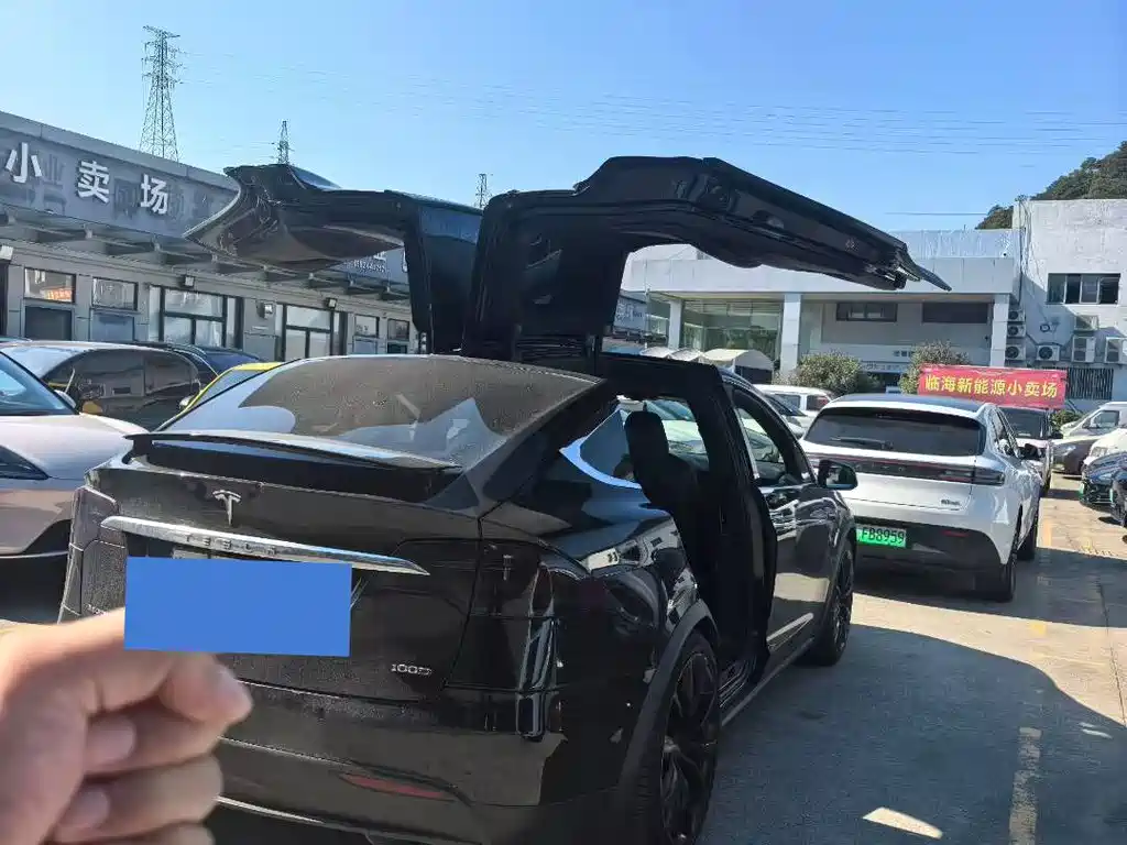 TESLA MODEL X