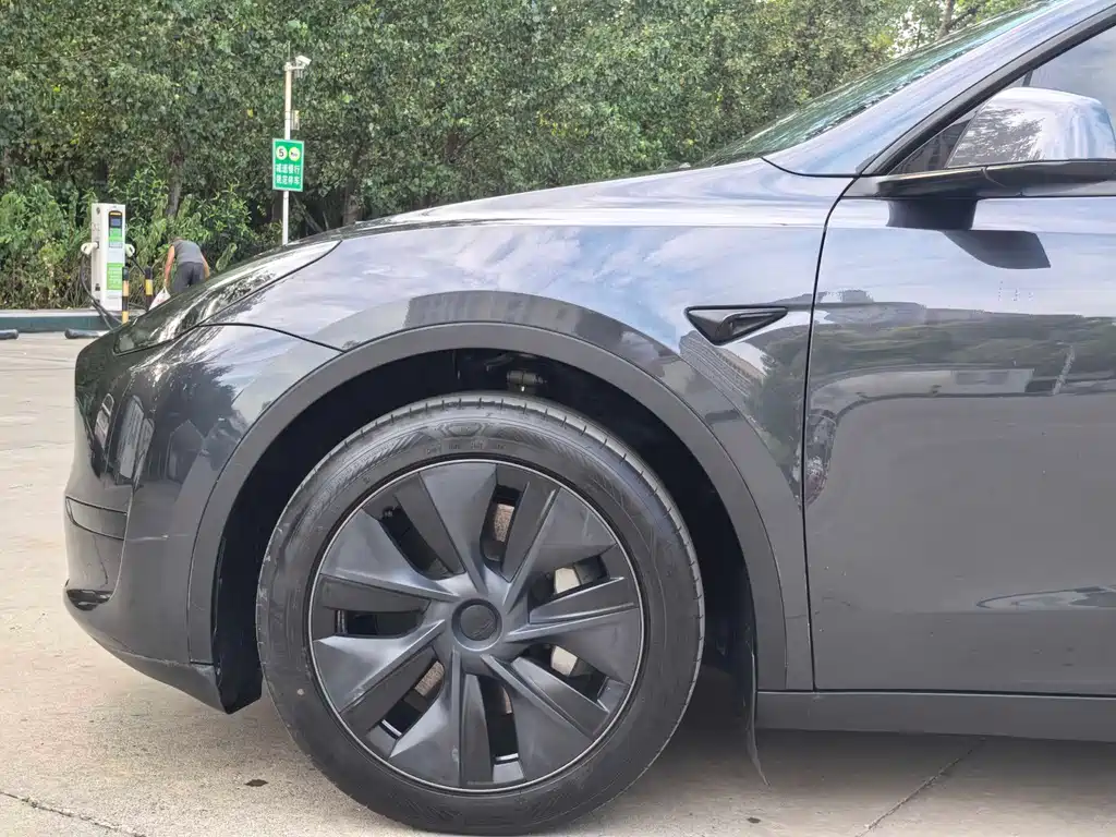 Tesla Model Y — миниатюра 4