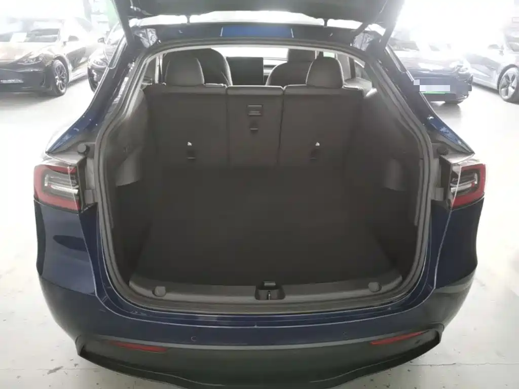 Tesla Model Y — миниатюра 19