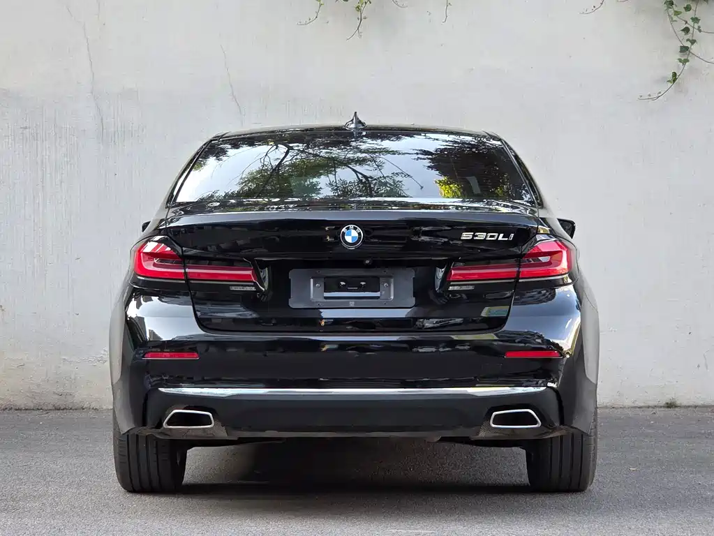 BMW 5 Series — миниатюра 5