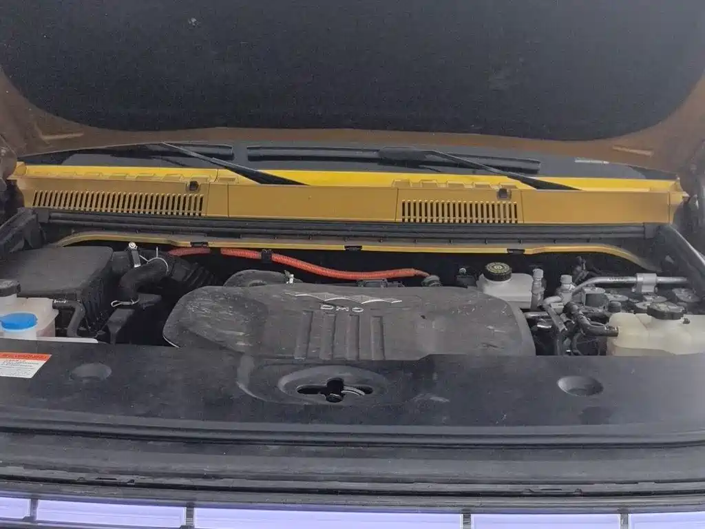 FANG CHENG BAO LEOPARD 5