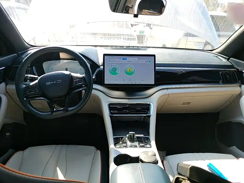 BYD PLUS New Energy — миниатюра 10