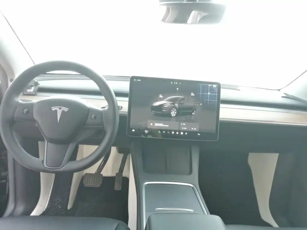 Tesla Model Y — миниатюра 10