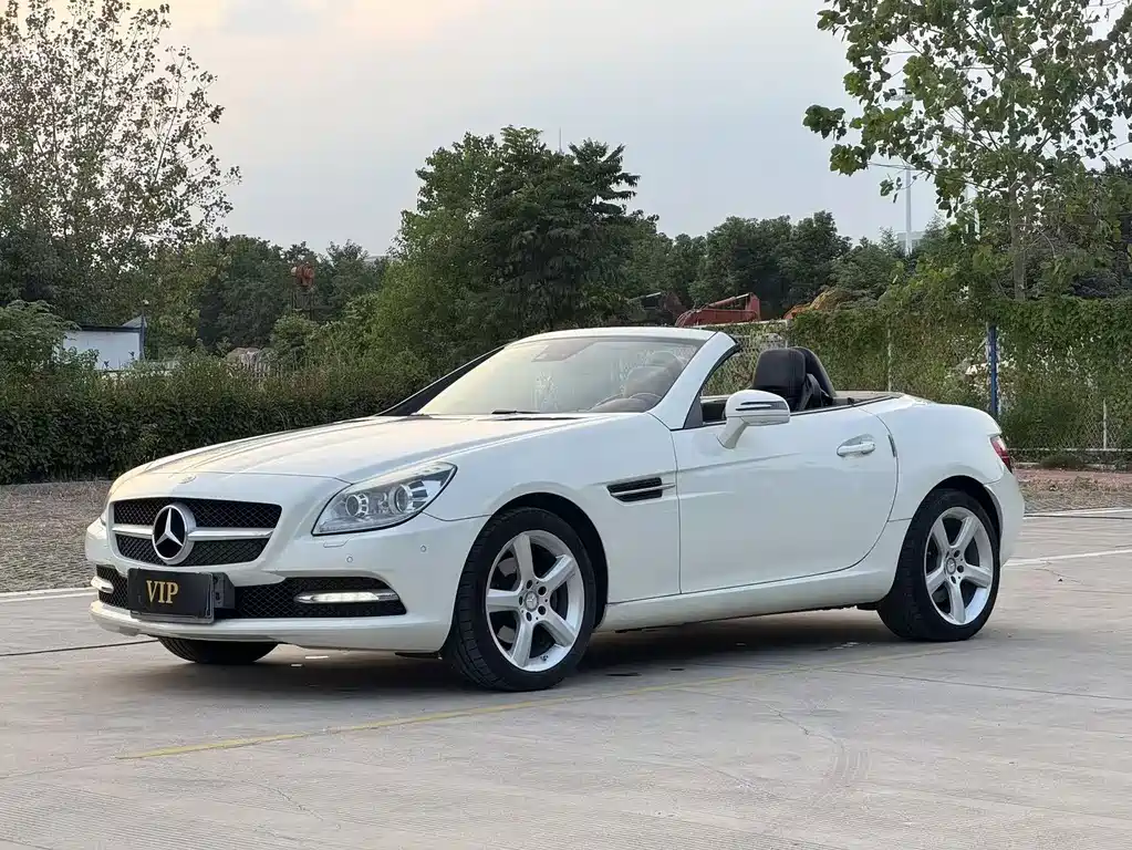 Mercedes-Benz SLK-Class — миниатюра 15