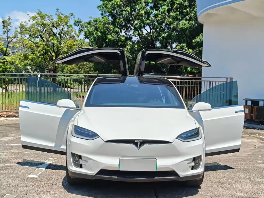 Tesla Model X — миниатюра 2