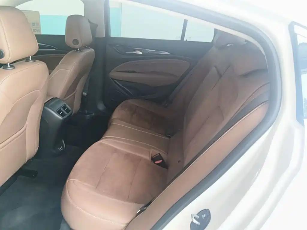 Buick Regal — миниатюра 17