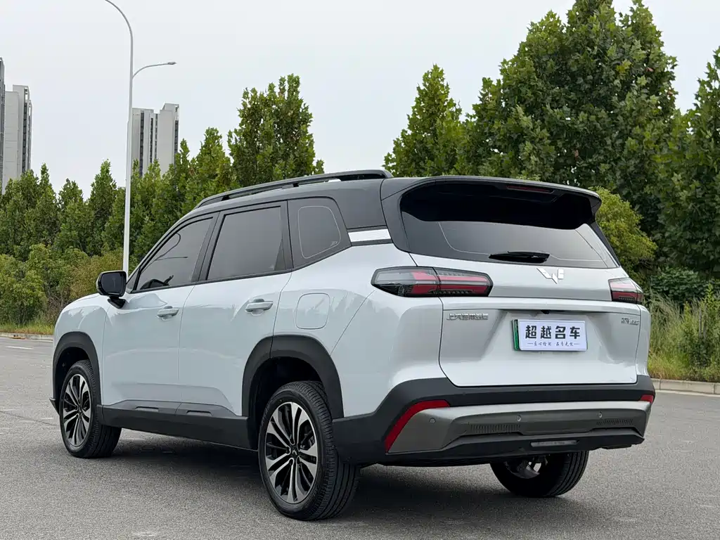 Wuling Xingguang 560 New Energy — миниатюра 5