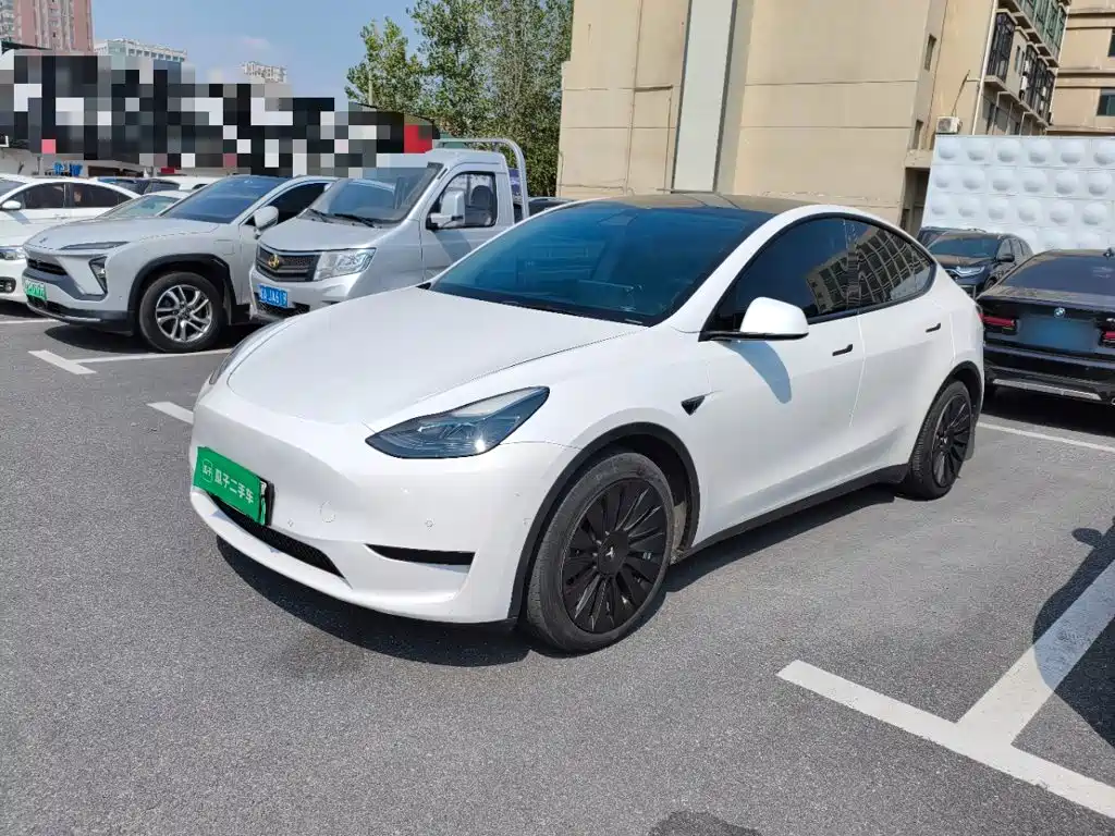 Tesla Model Y — миниатюра 2
