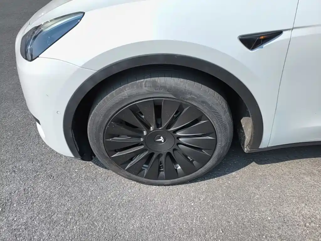 Tesla Model Y — миниатюра 23