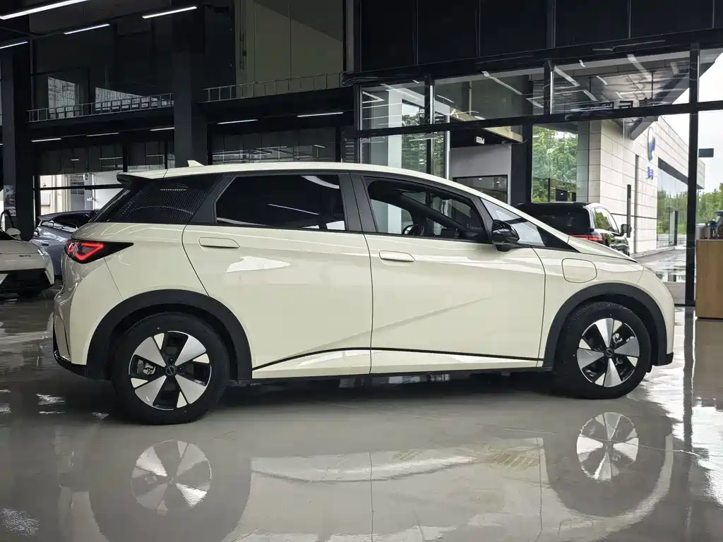 BYD Dolphin — миниатюра 13