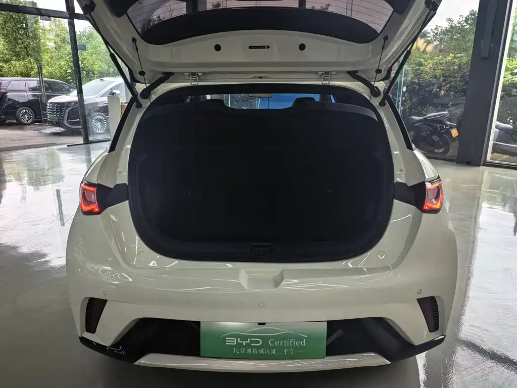 BYD Dolphin — миниатюра 11