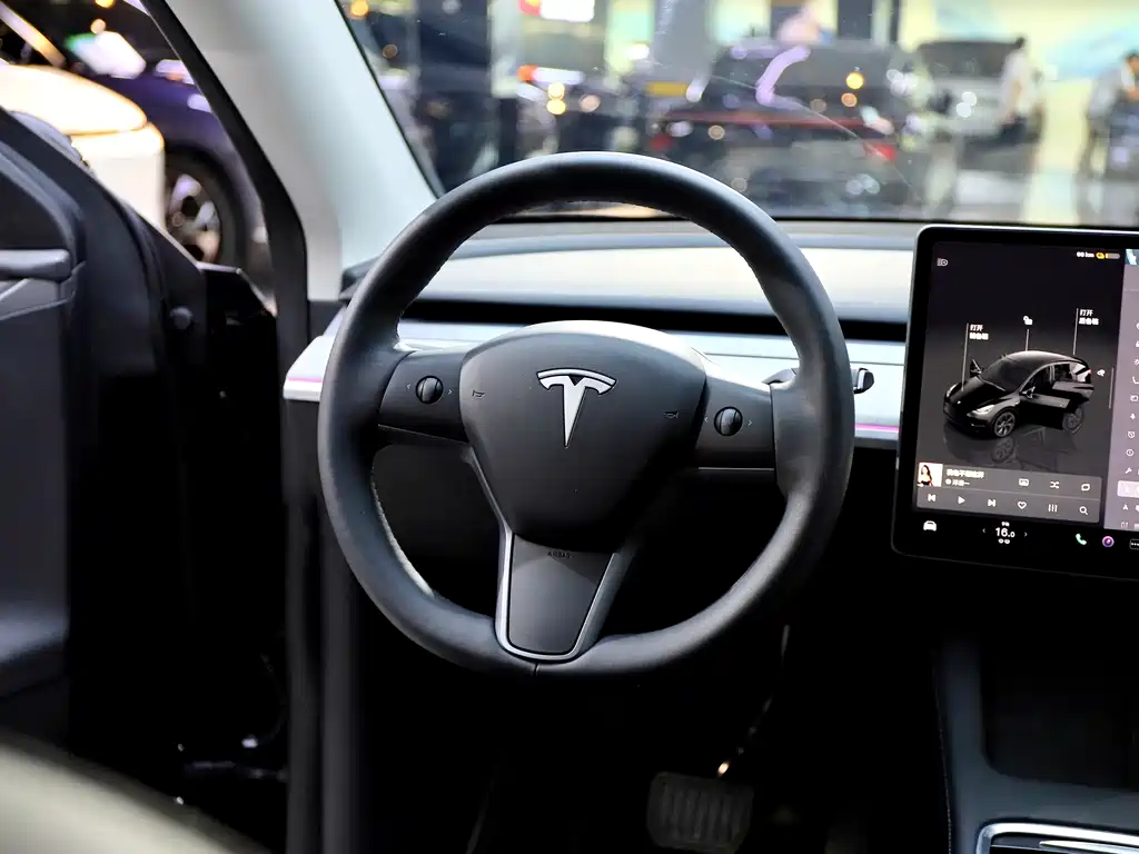 Tesla Model Y — миниатюра 11