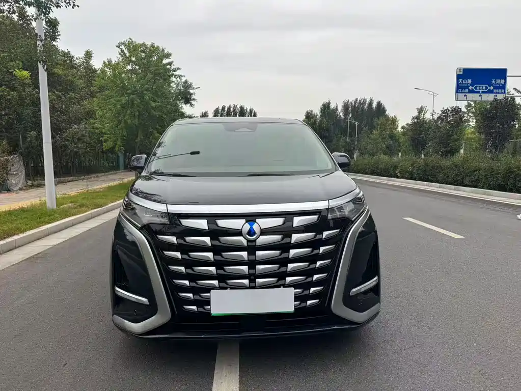 Denza Denza D9 — миниатюра 2