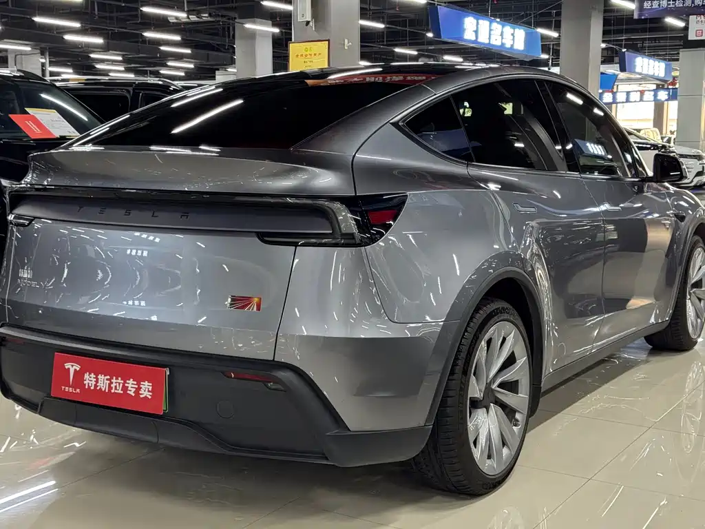 Tesla Model Y — миниатюра 9