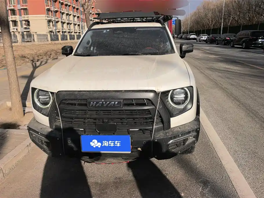 HAVAL BIG DOG