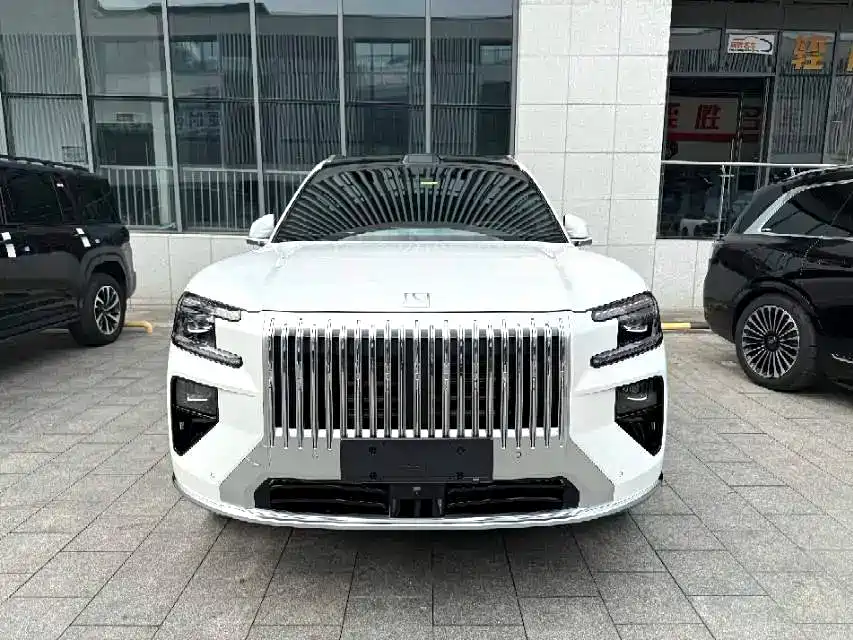Zeekr 8X — миниатюра 2