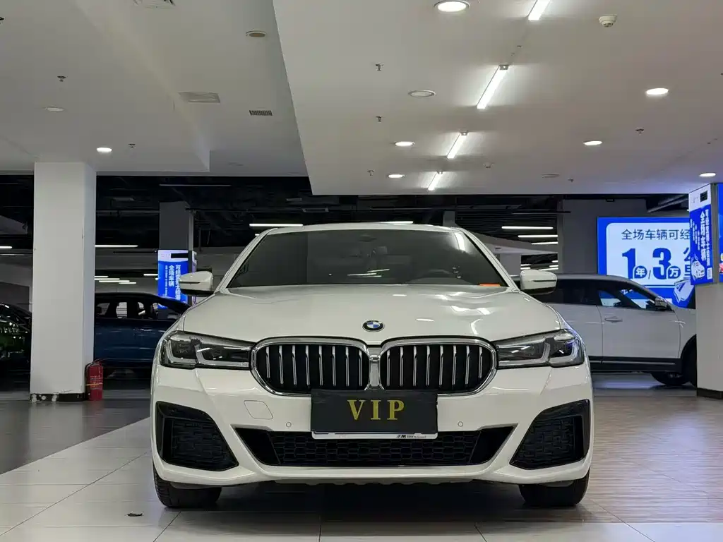 BMW 5 Series — миниатюра 2