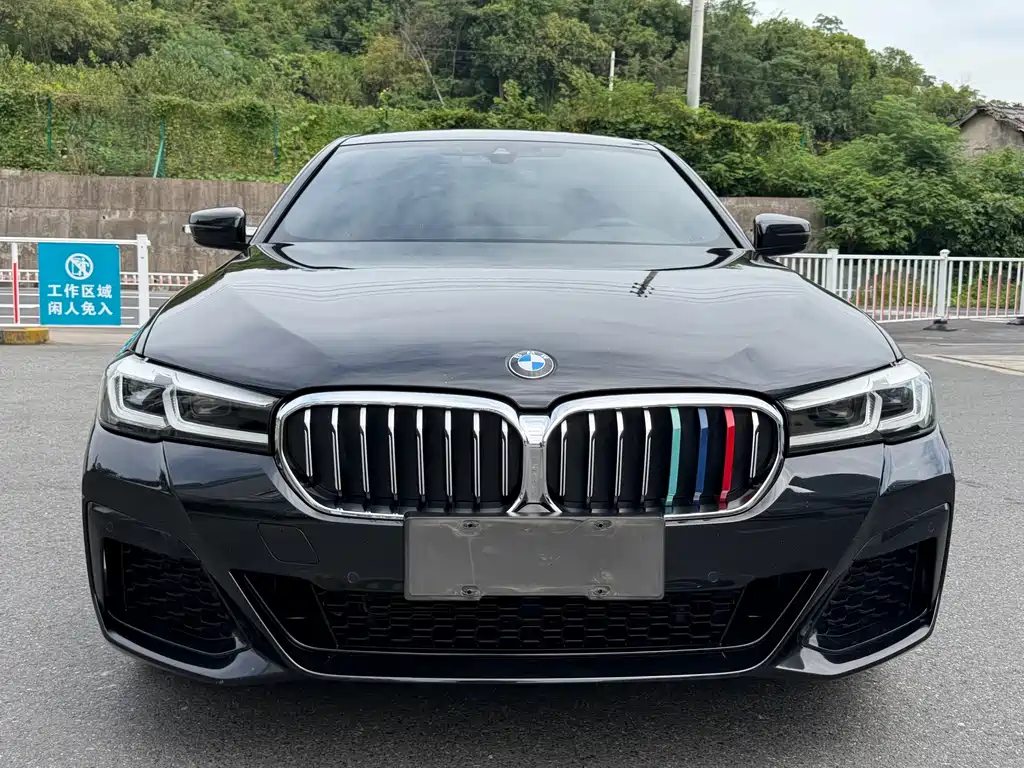 BMW 5 Series — миниатюра 2