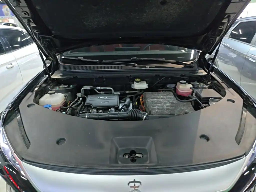 BYD Pro New Energy — миниатюра 20