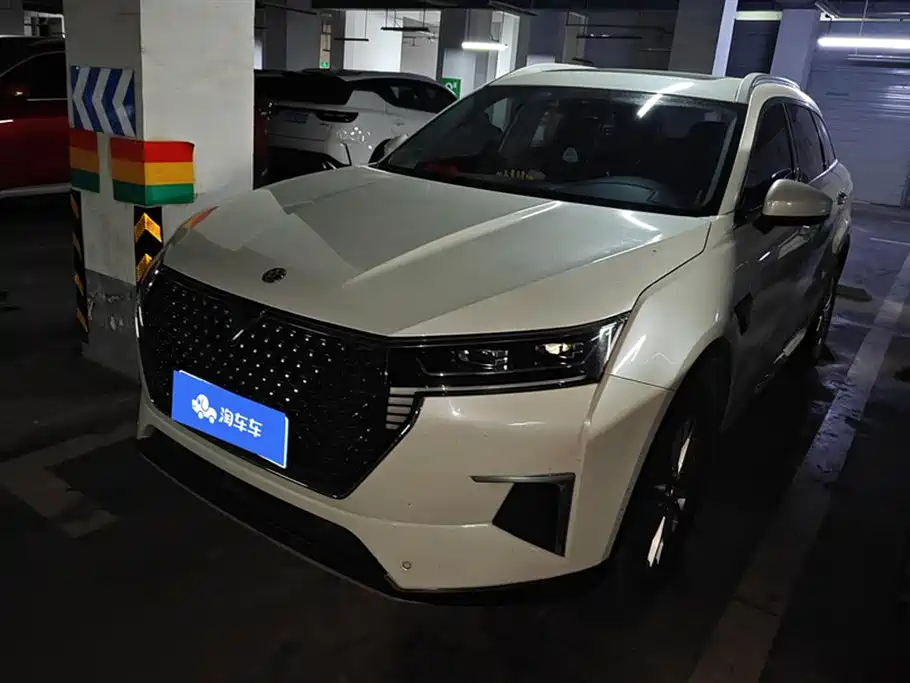 Venucia Star 2021