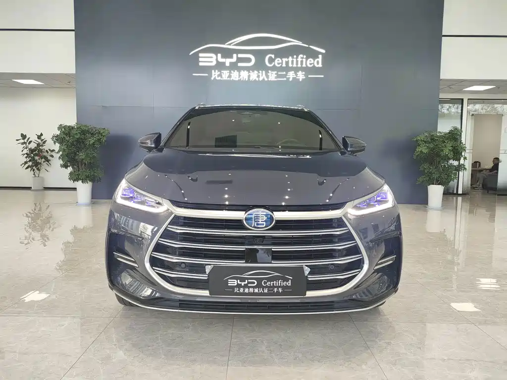 BYD Tang New Energy — миниатюра 2