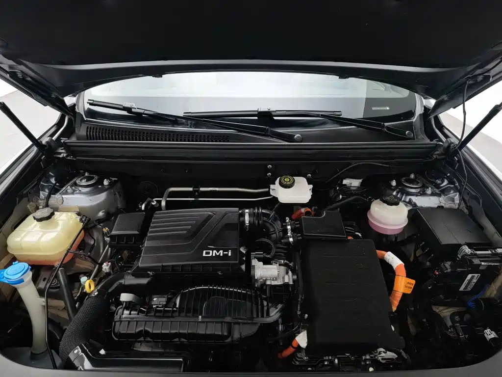 BYD Pro New Energy — миниатюра 6