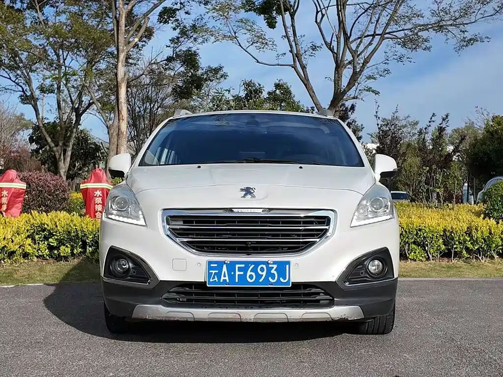 Peugeot 3008 1.6THP Roland · Plus Garros Edition, фото 2