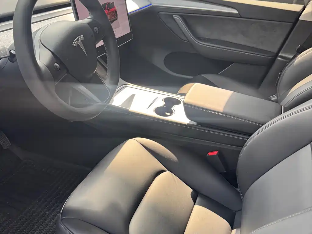 Tesla Model Y — миниатюра 8