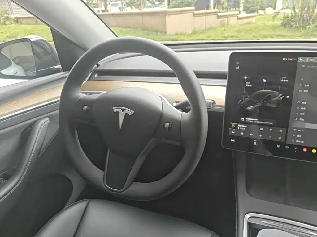 Tesla Model Y — миниатюра 11
