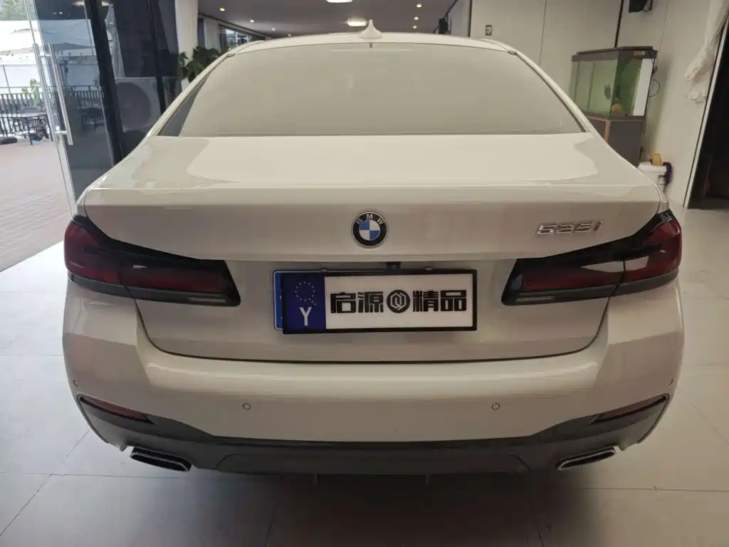 BMW 5 Series (Import) — миниатюра 9