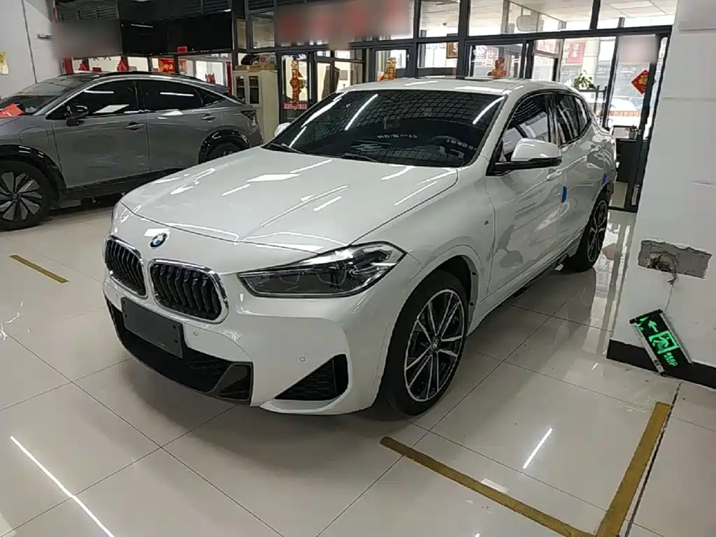 BMW X2 — миниатюра 2