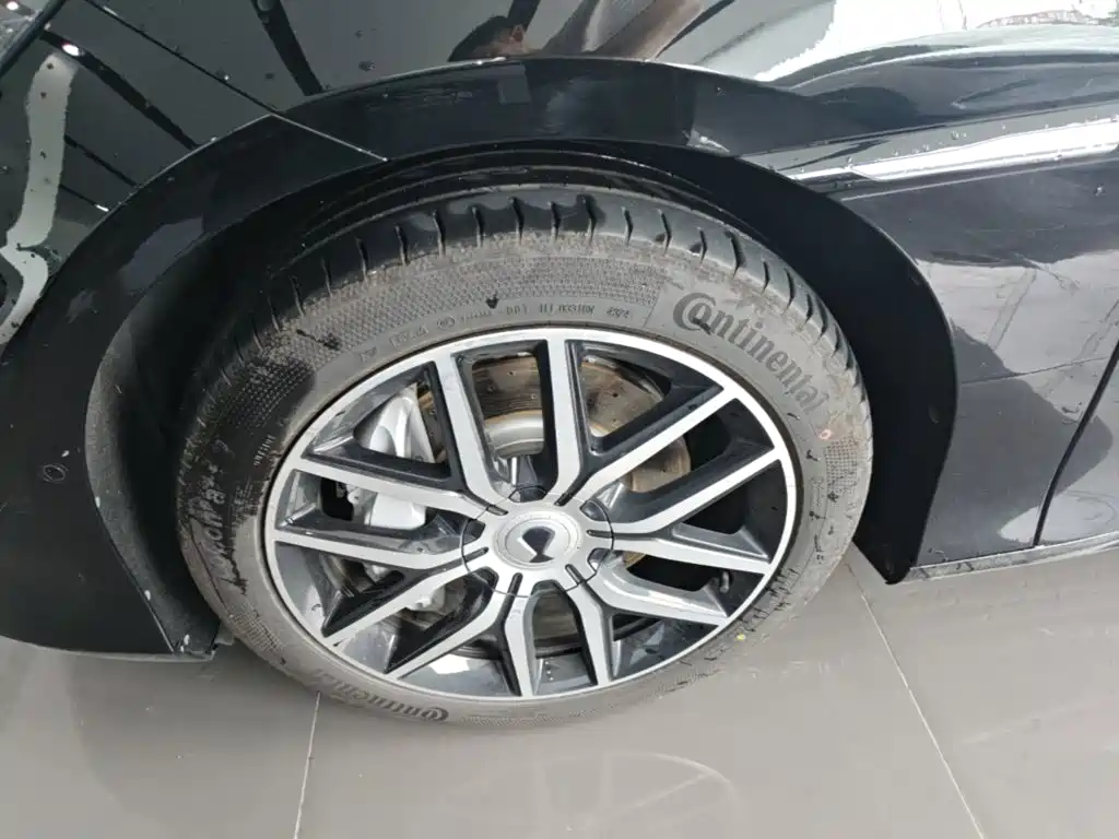 Denza Denza Z9 — миниатюра 23