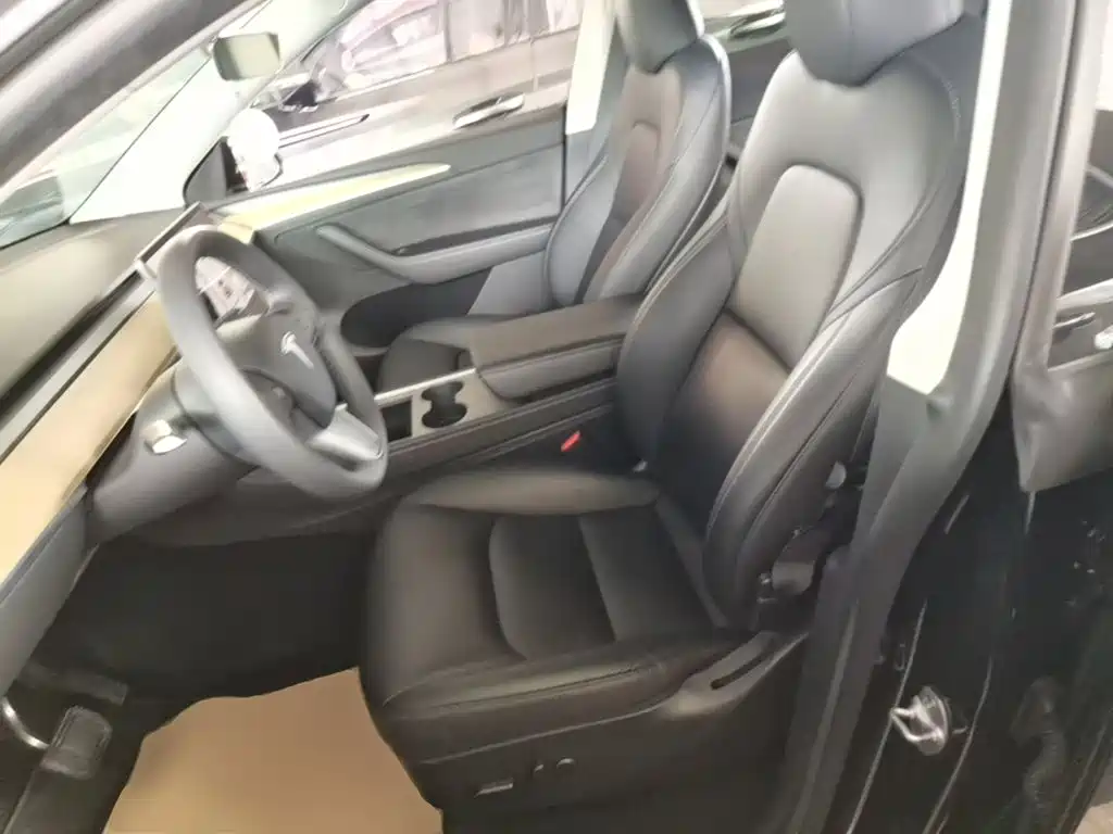 Tesla Model Y — миниатюра 15