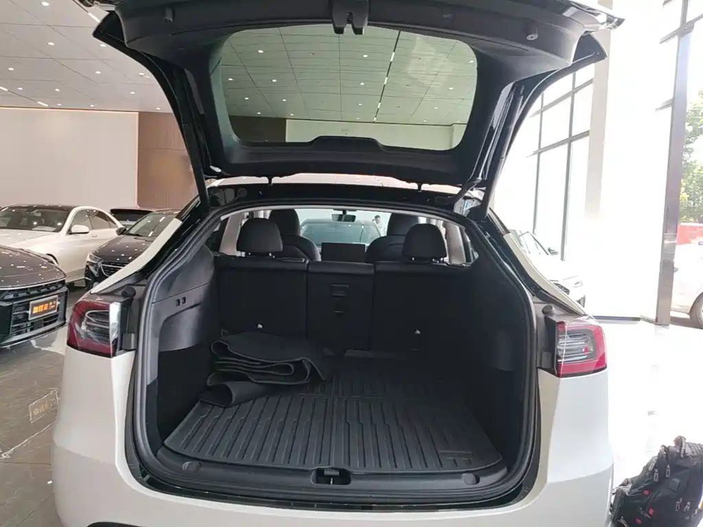 Tesla Model Y — миниатюра 19