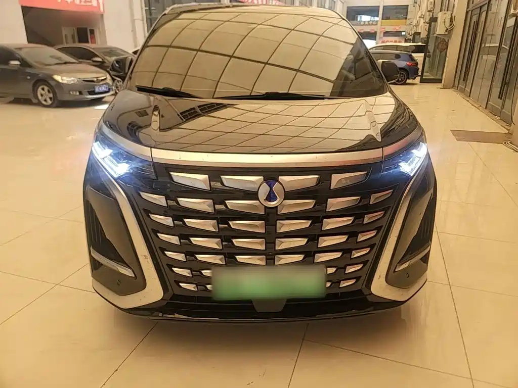 Denza Denza D9 — миниатюра 3