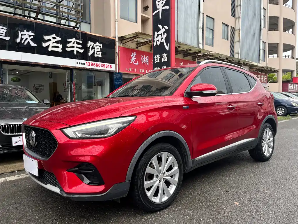 Mg ZS 2021