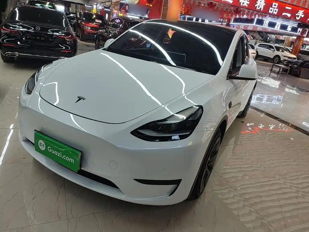 Tesla Model Y — миниатюра 2