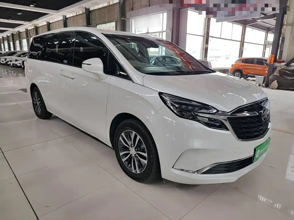 Buick GL8 — миниатюра 4