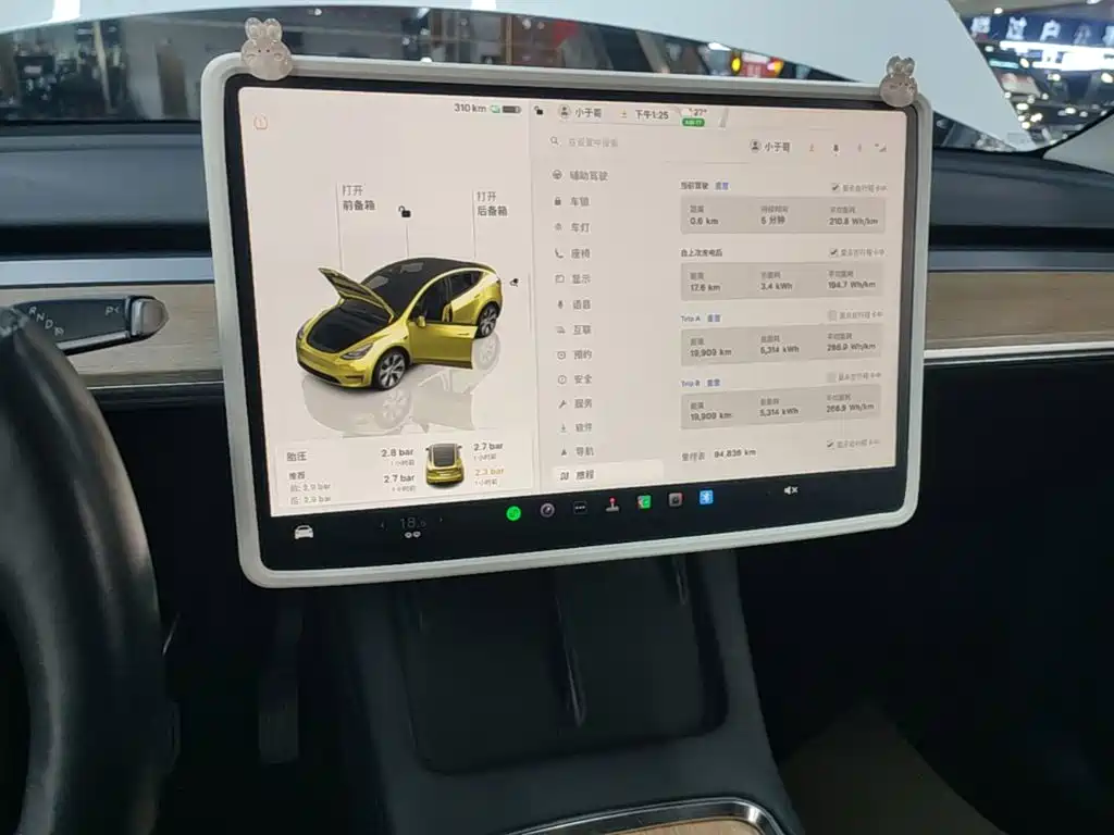 Tesla Model Y — миниатюра 13