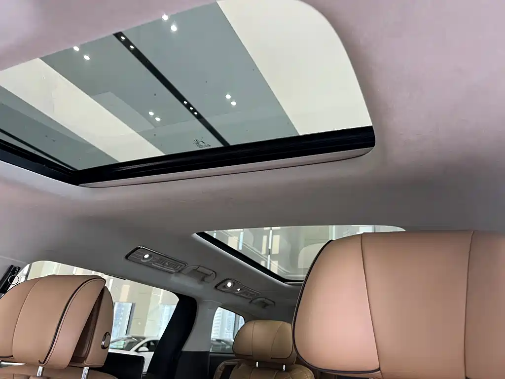 Denza Denza D9 — миниатюра 11