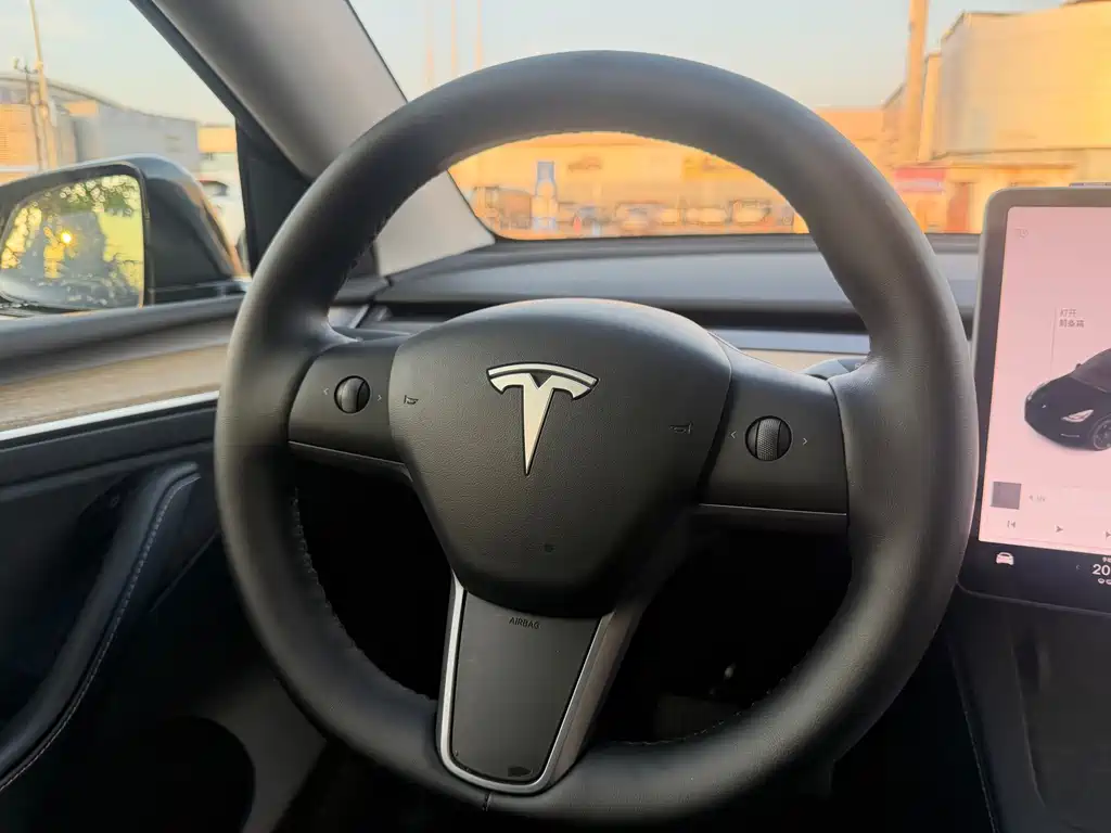 Tesla Model Y — миниатюра 10