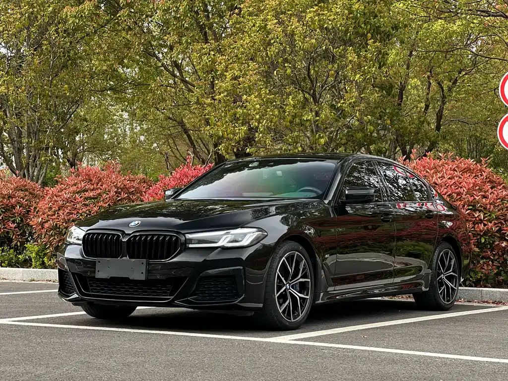 BMW 5 Series (Import) 2020