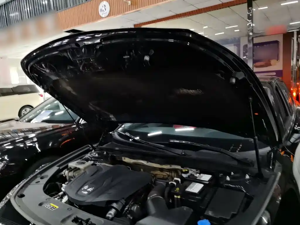 Hongqi Hongqi H5 — миниатюра 20