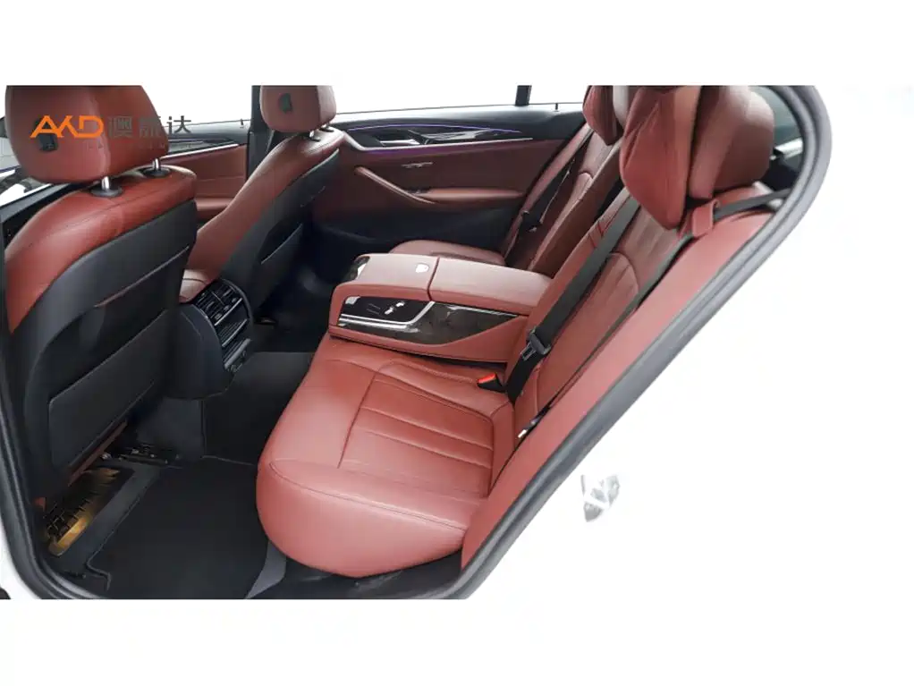 BMW 5 Series 5 2019 530Li Lead M Sport