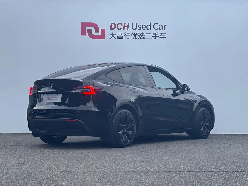 Tesla Model Y — миниатюра 4