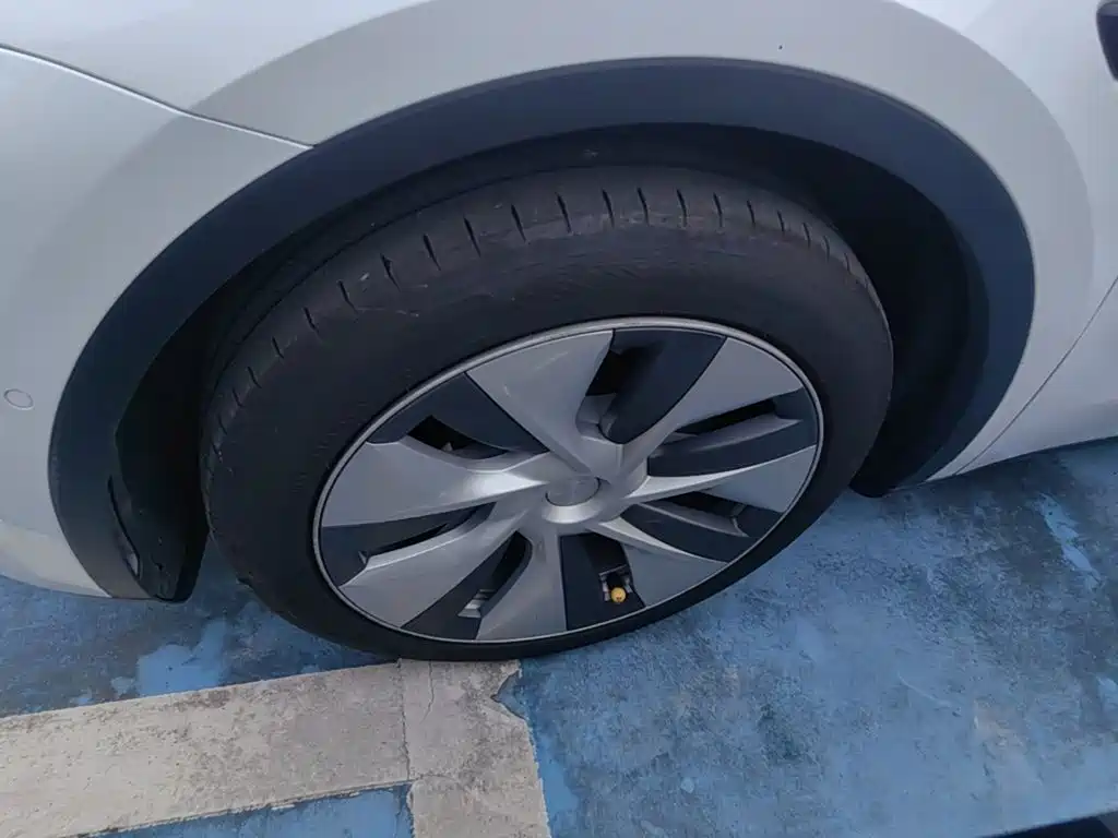 Tesla Model Y — миниатюра 23