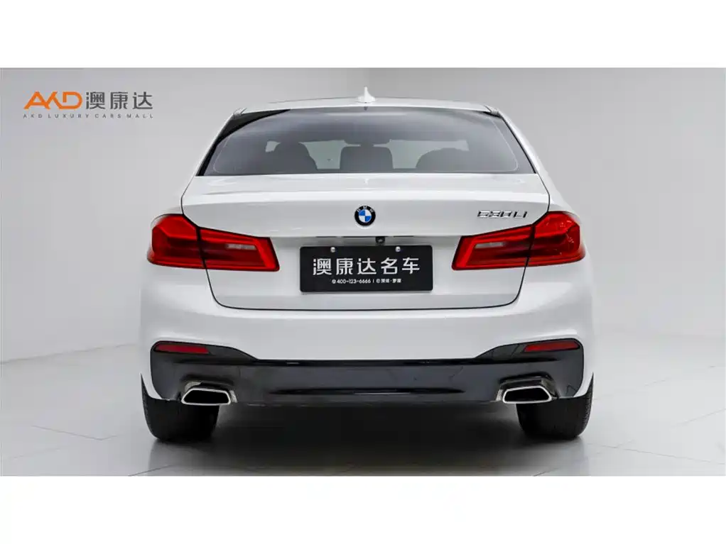 BMW 5 Series 5 2019 530Li Lead M Sport