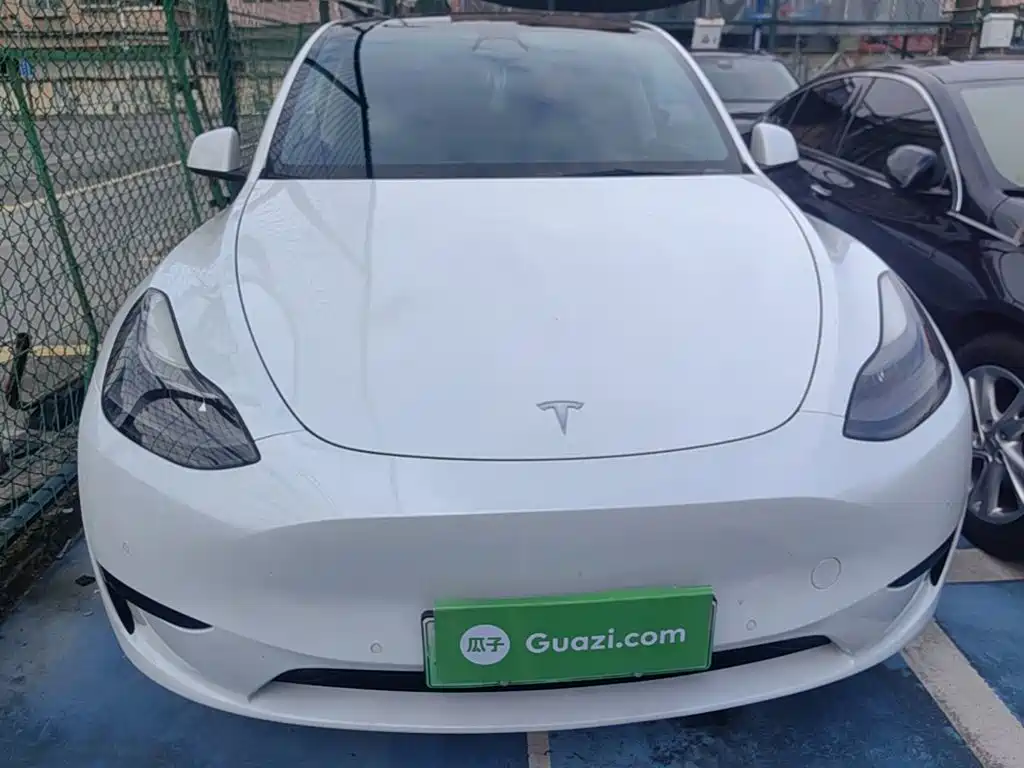 Tesla Model Y — миниатюра 3