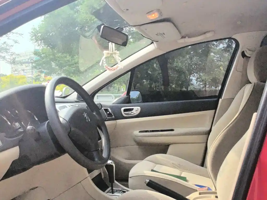 Peugeot 307 — миниатюра 7