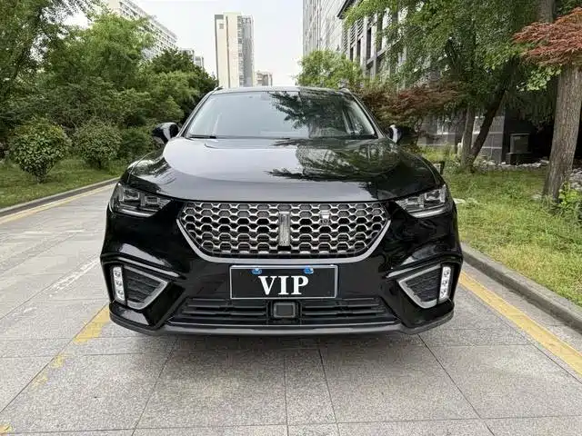 WEI PAI WEI BRAND VV5